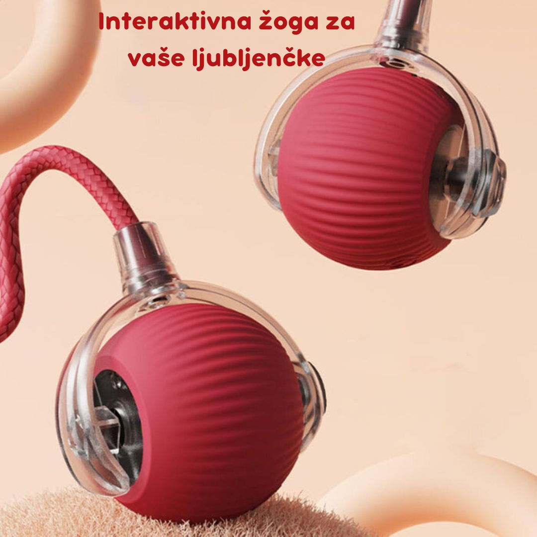 Pametna interaktivna žoga za mačke