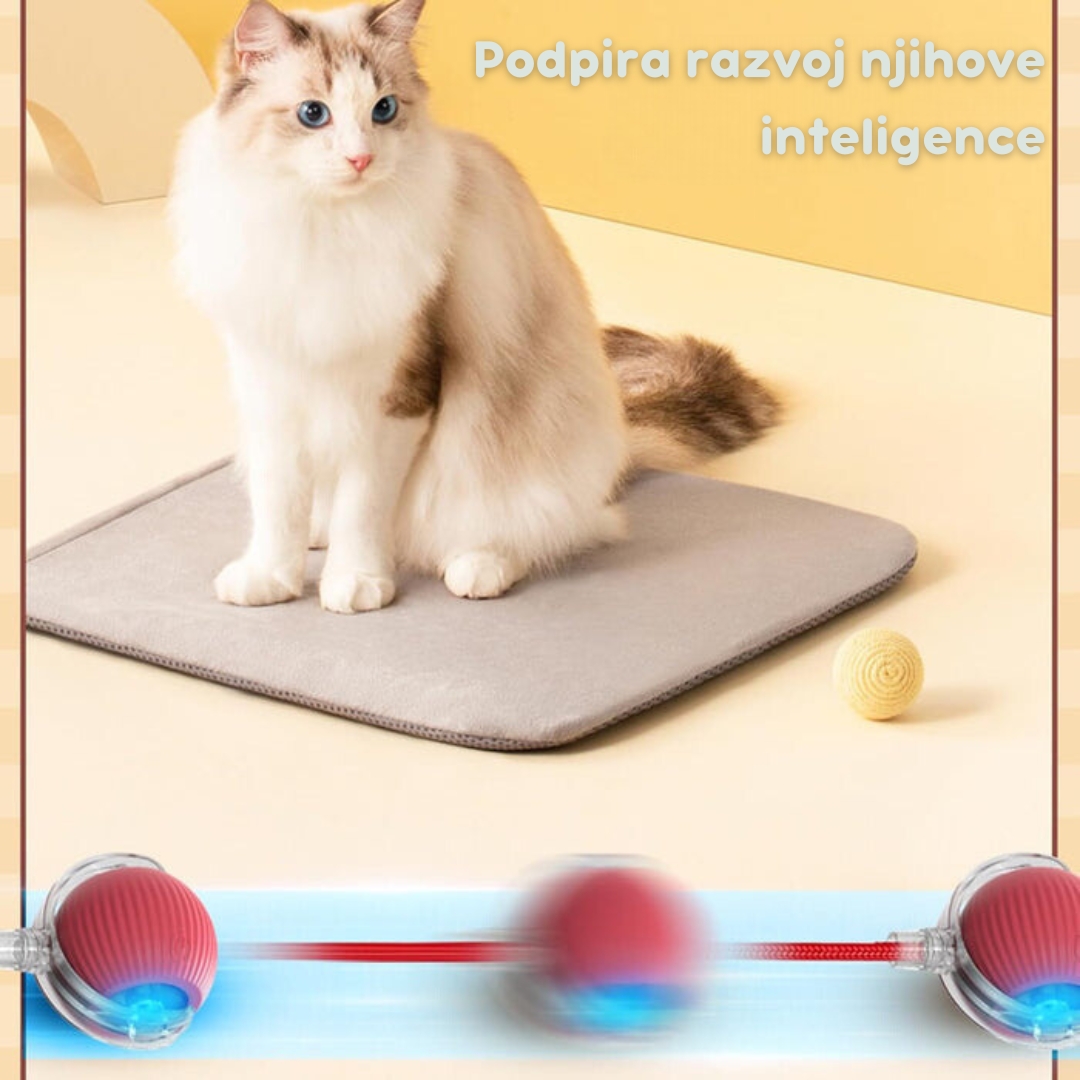 Pametna interaktivna žoga za mačke