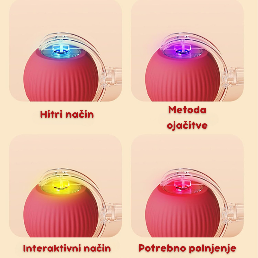 Pametna interaktivna žoga za mačke