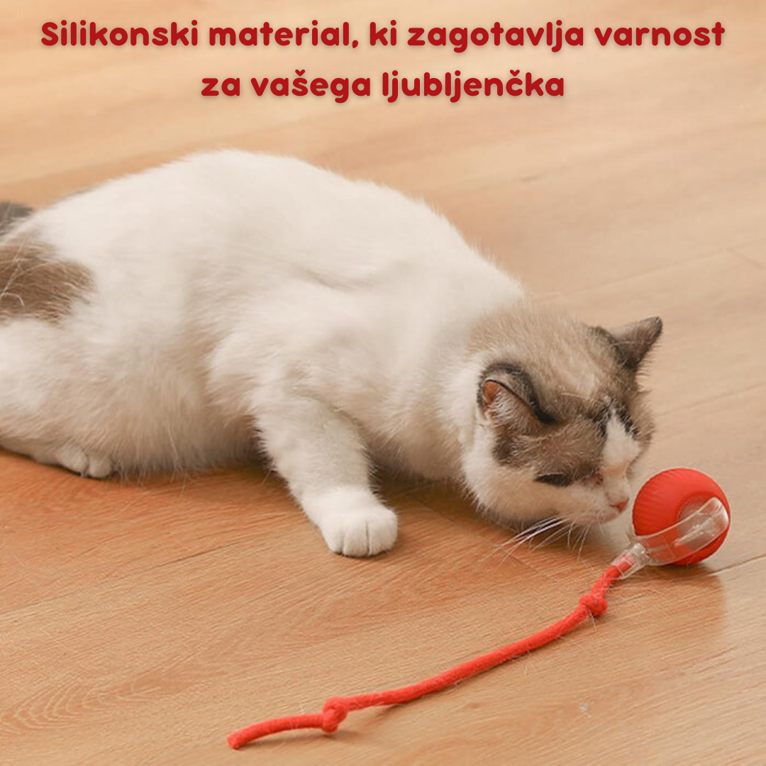 Pametna interaktivna žoga za mačke