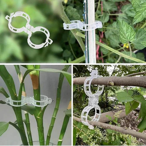 Sponke za rastline (paket 100 kosov)
